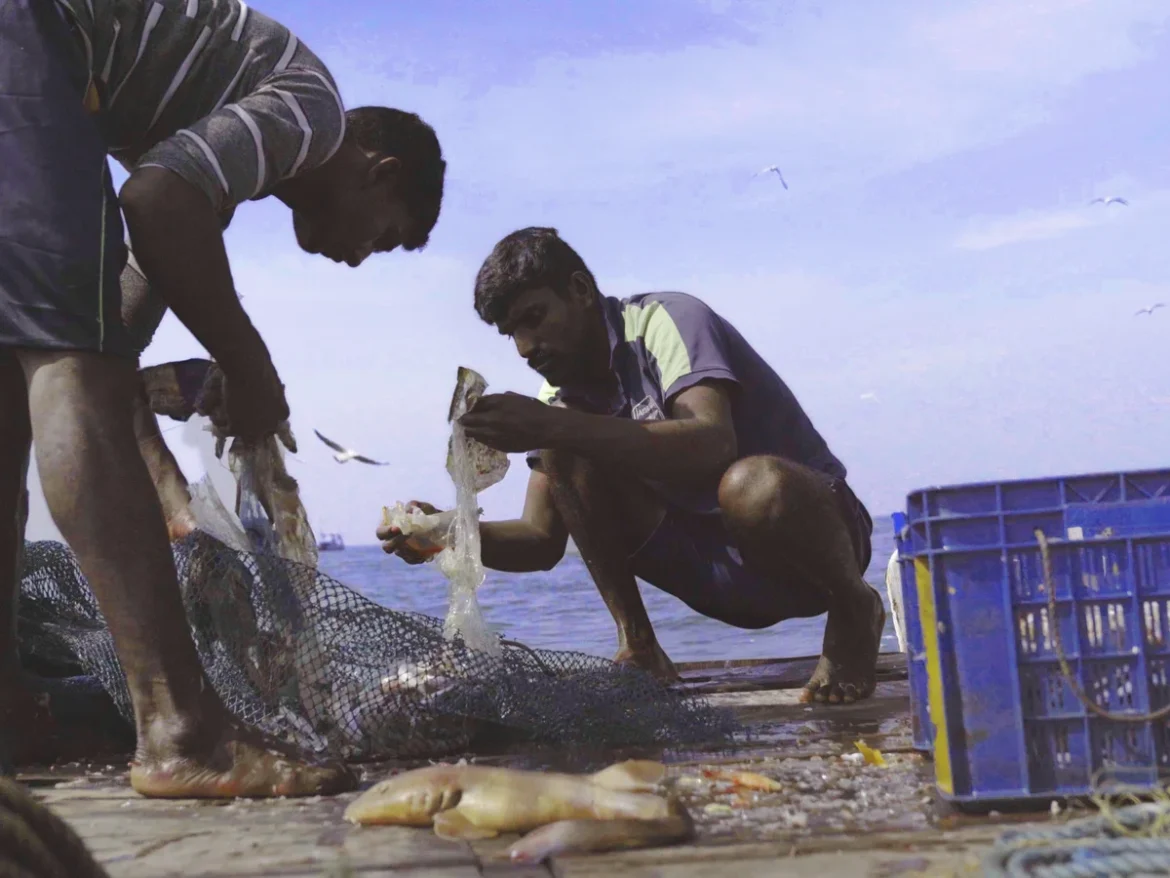 Against The Tide – Documentary Review